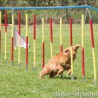 11009157_1592452127699687_6629061607839204570_n 11009157_1592452127699687_6629061607839204570_n