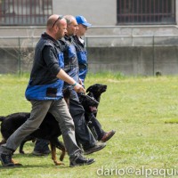 21987_1592445254367041_3422798758950579109_n 21987_1592445254367041_3422798758950579109_n